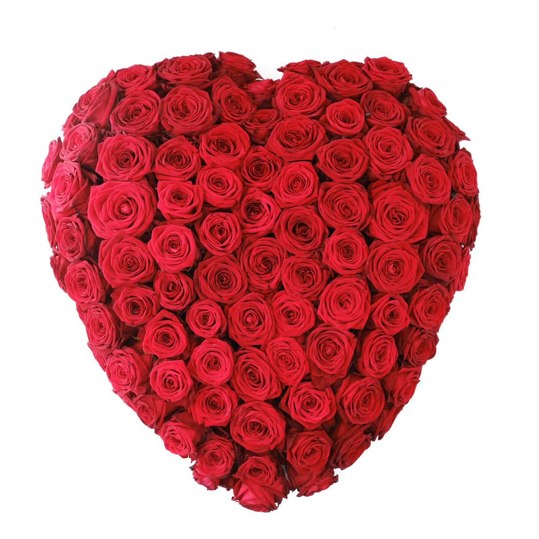 جوهرة الليل