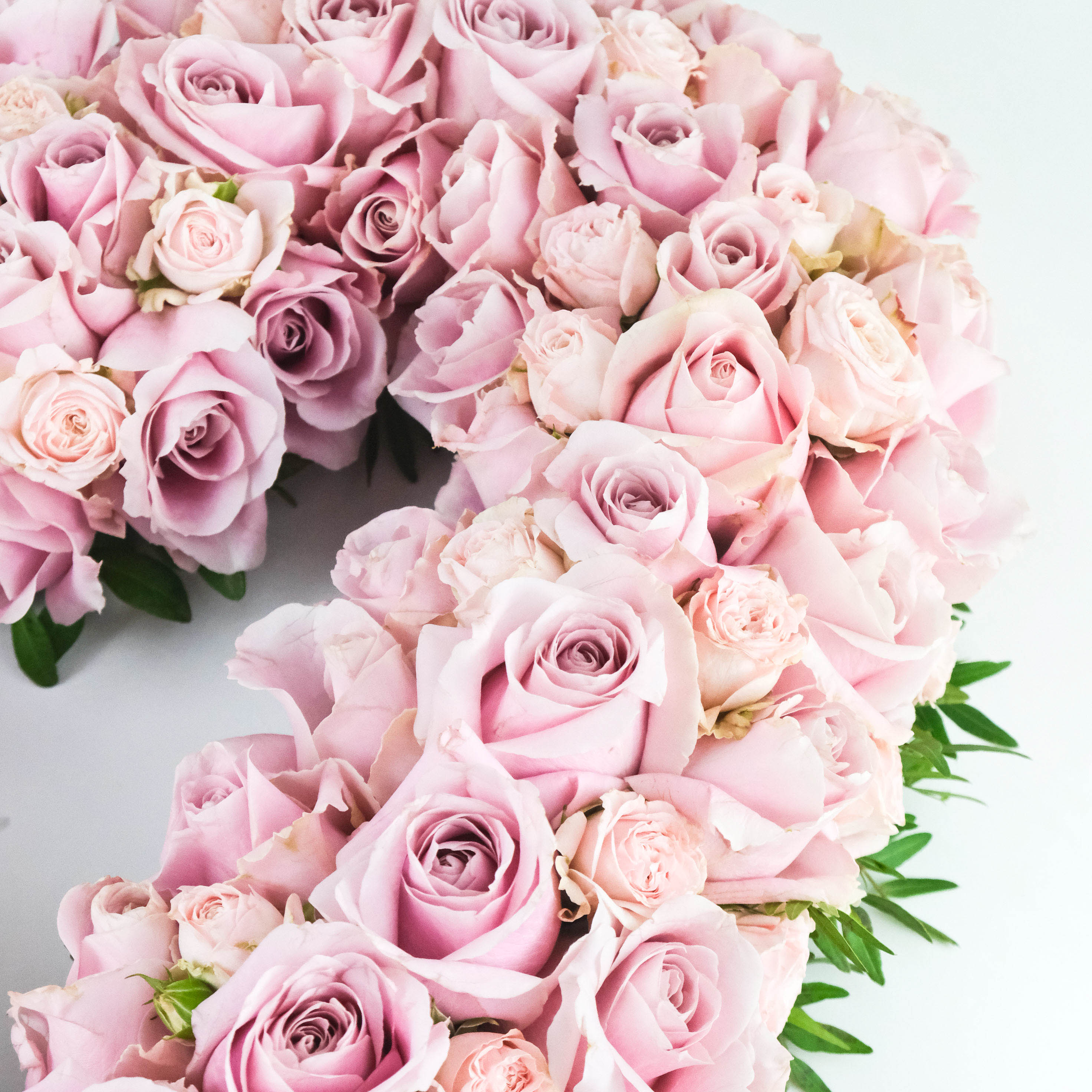 إكليل الورد الوردي