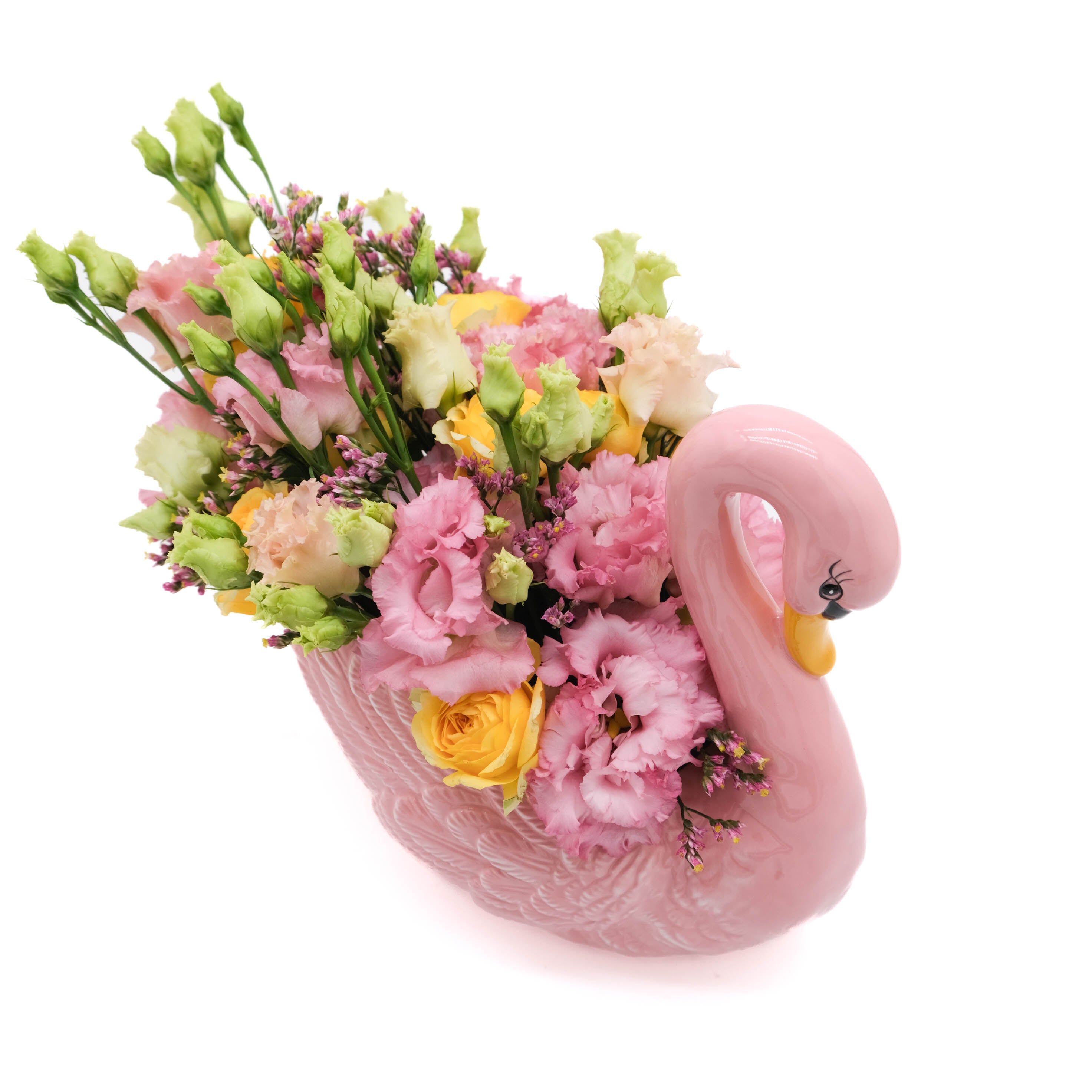 Pink Swan