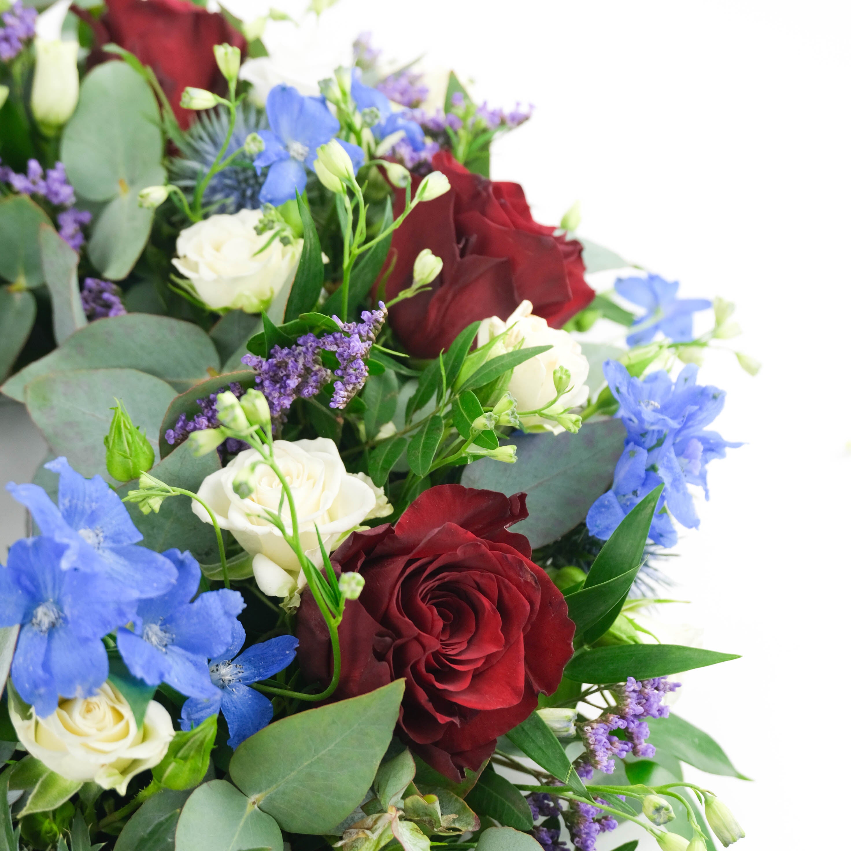 إكليل أحمر وأزرق وأبيض