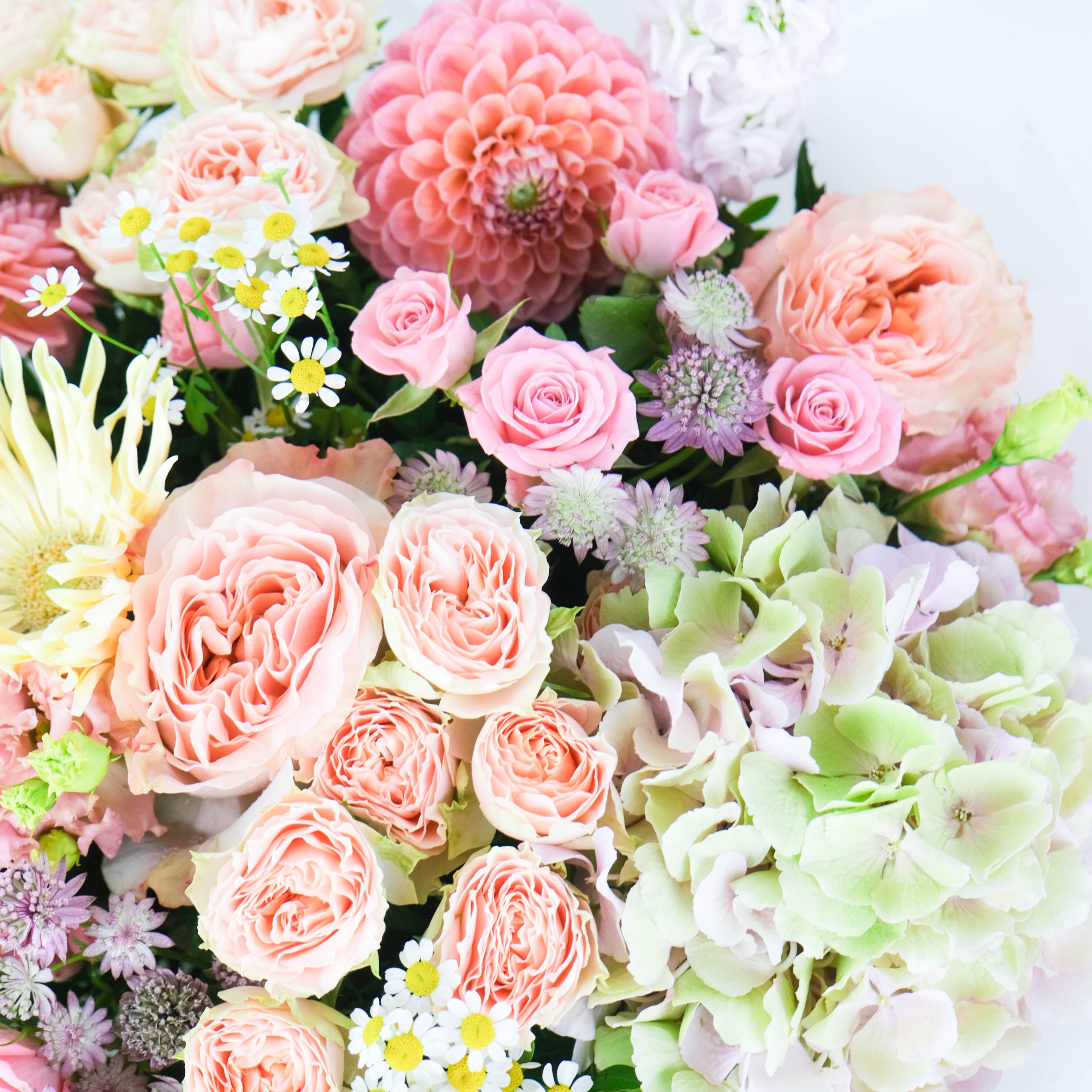 Bouquet of pink and green flowers with a white background