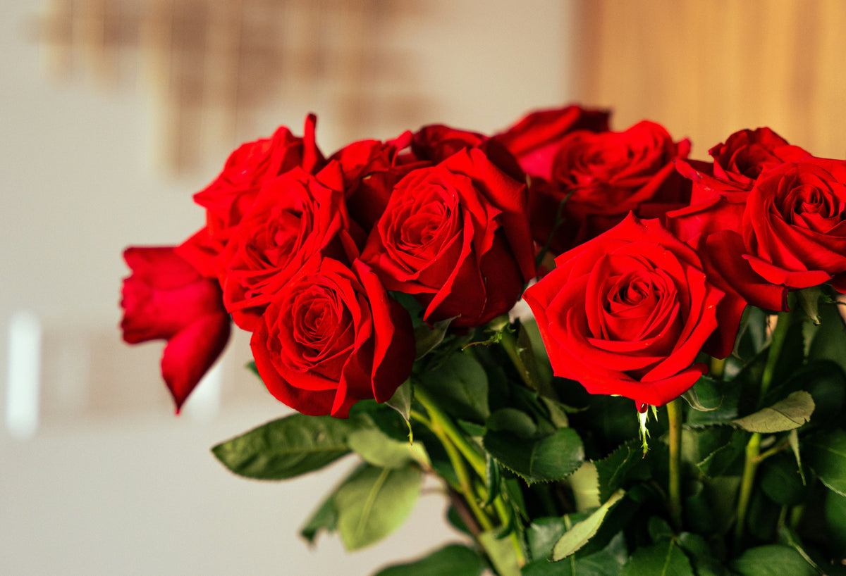 Roses – PM Flowers