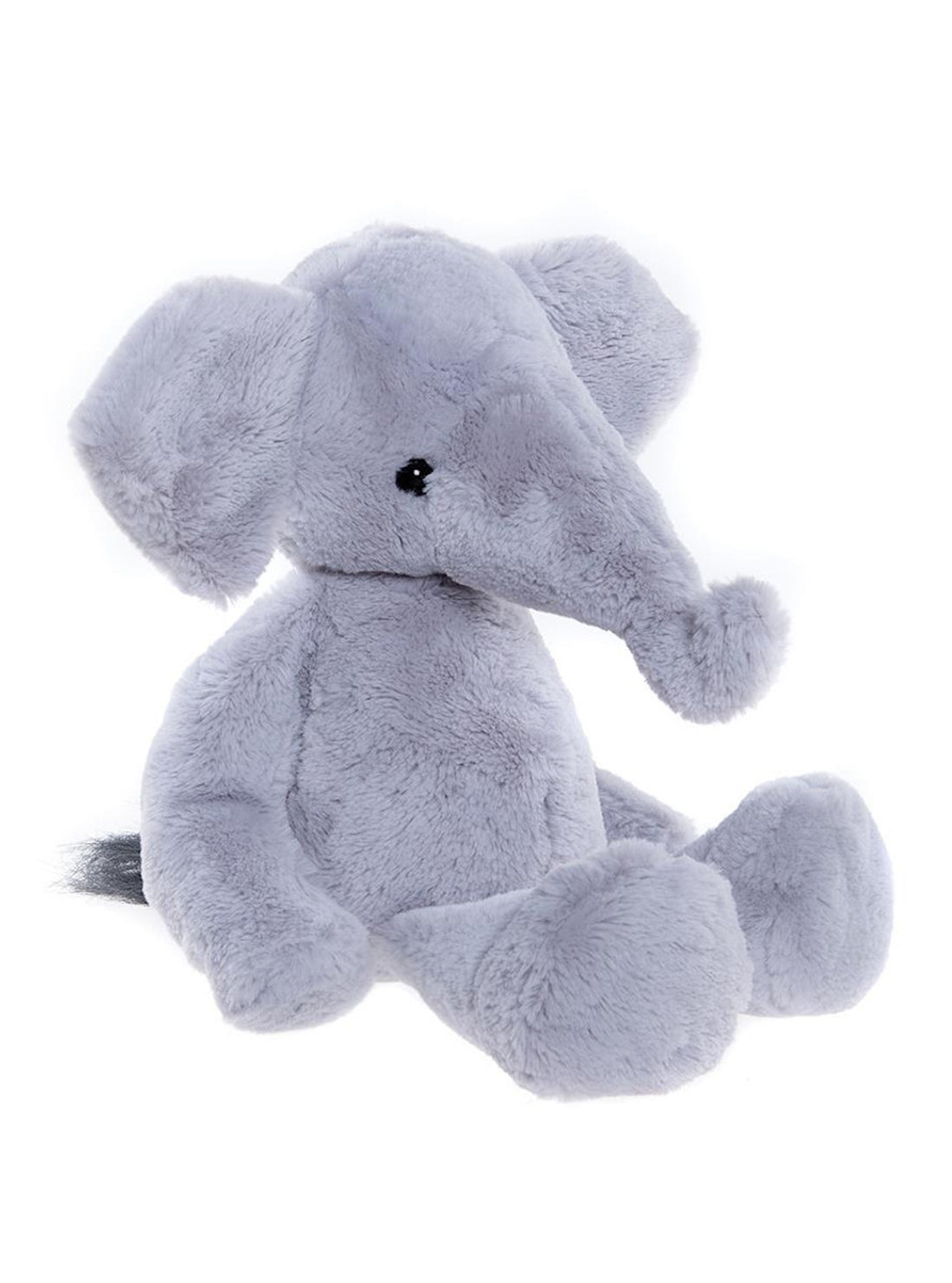 Lapin gris