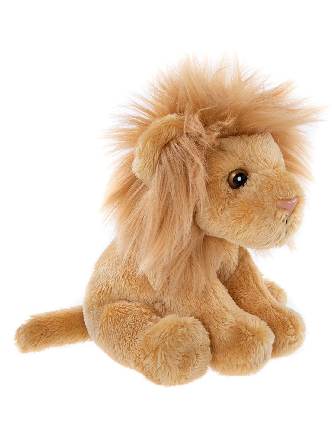 Lapin gris