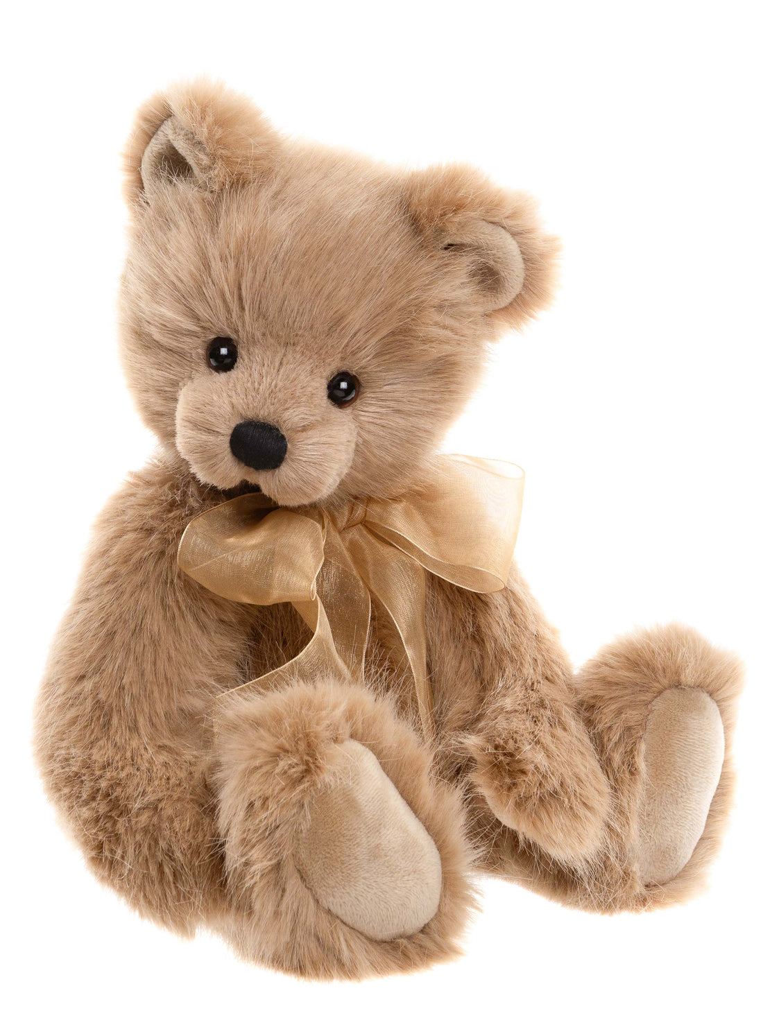 Lapin gris