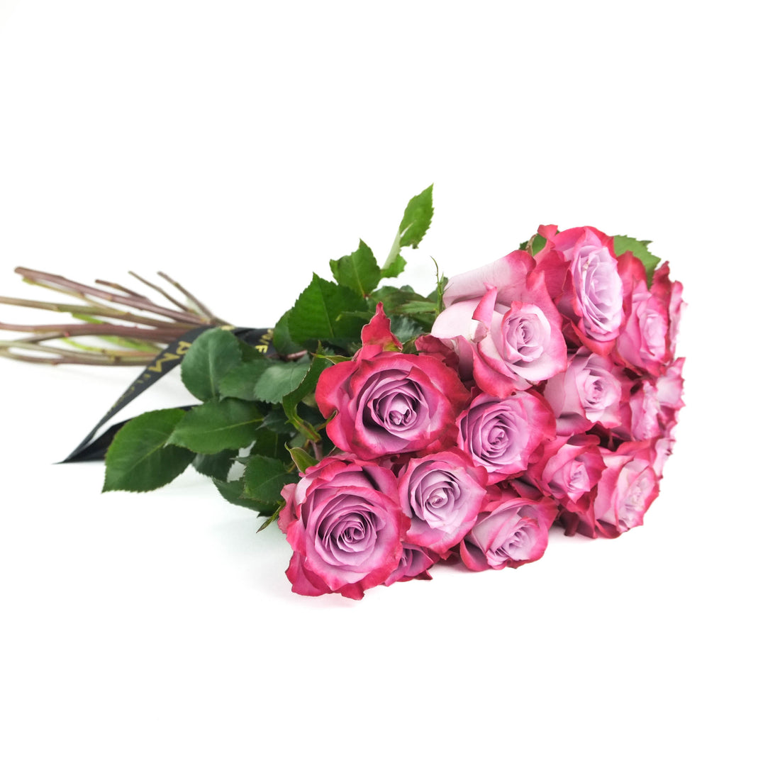 Roses violettes profondes