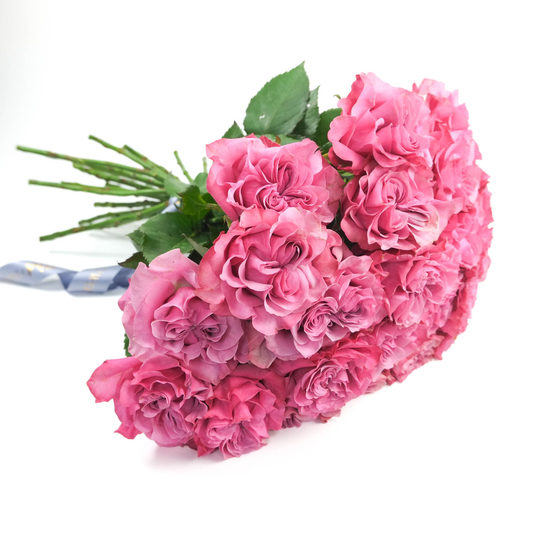 Roses bleues de campagne