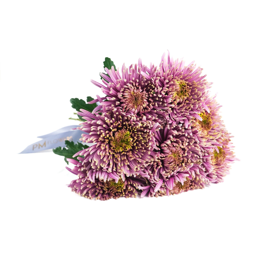 Balthazar Blooms