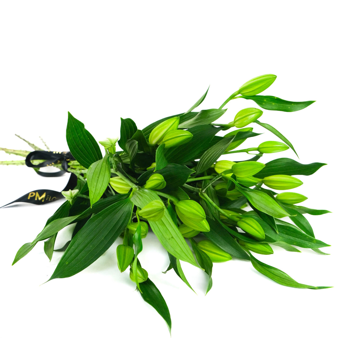 الزنابق البيضاء