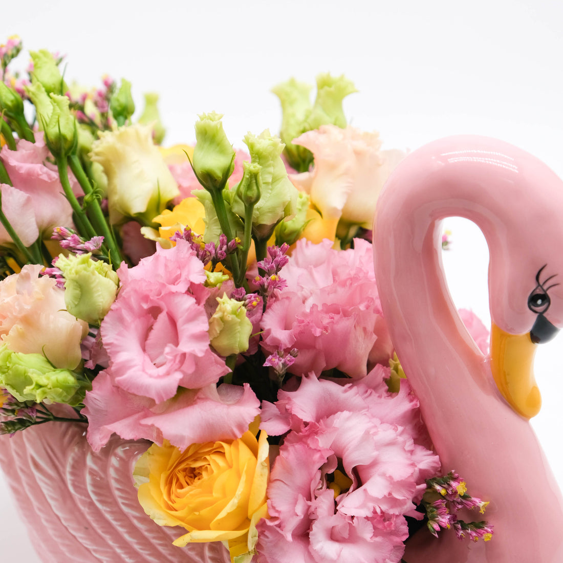 Pink Swan