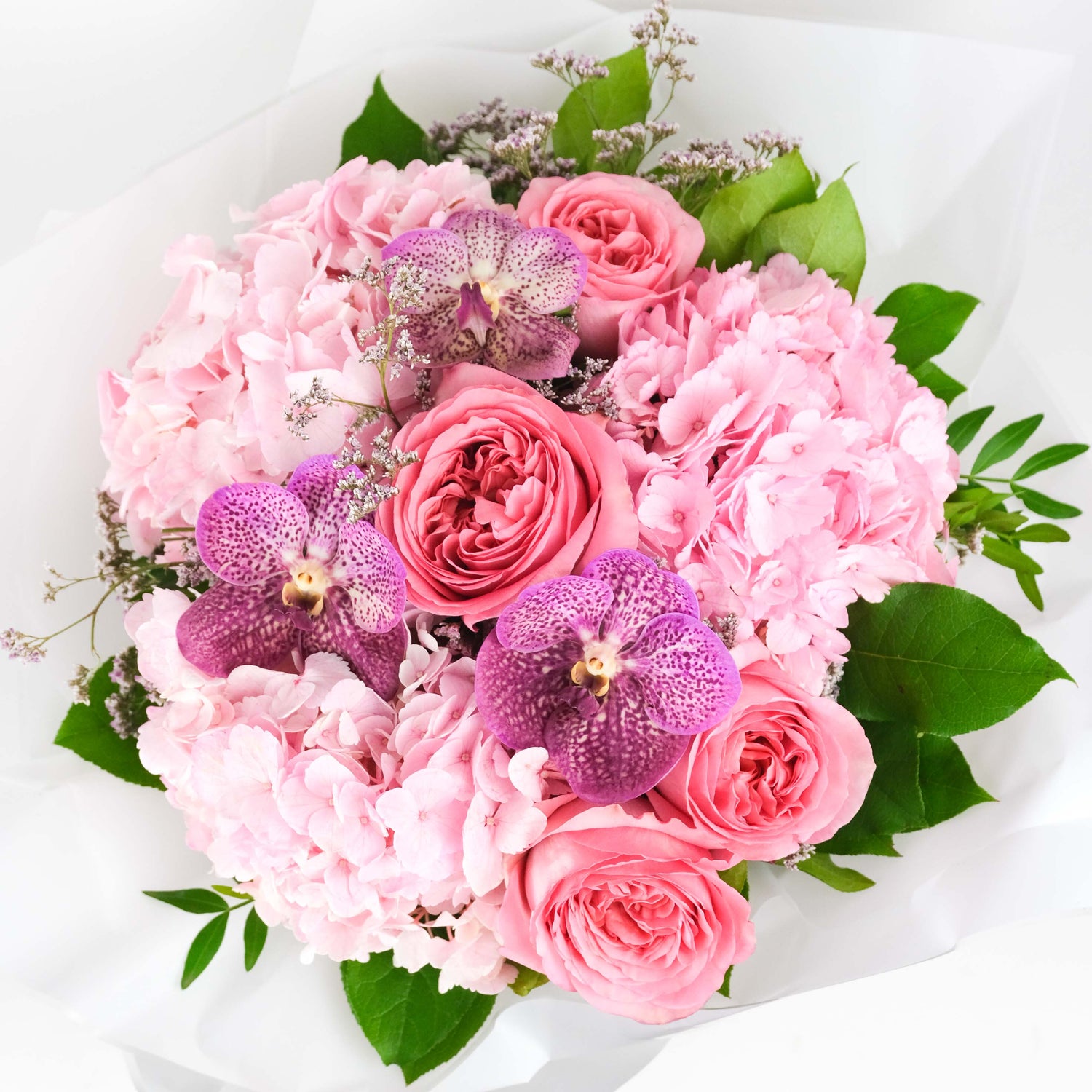 Chic rose