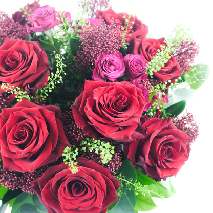 Red Passion