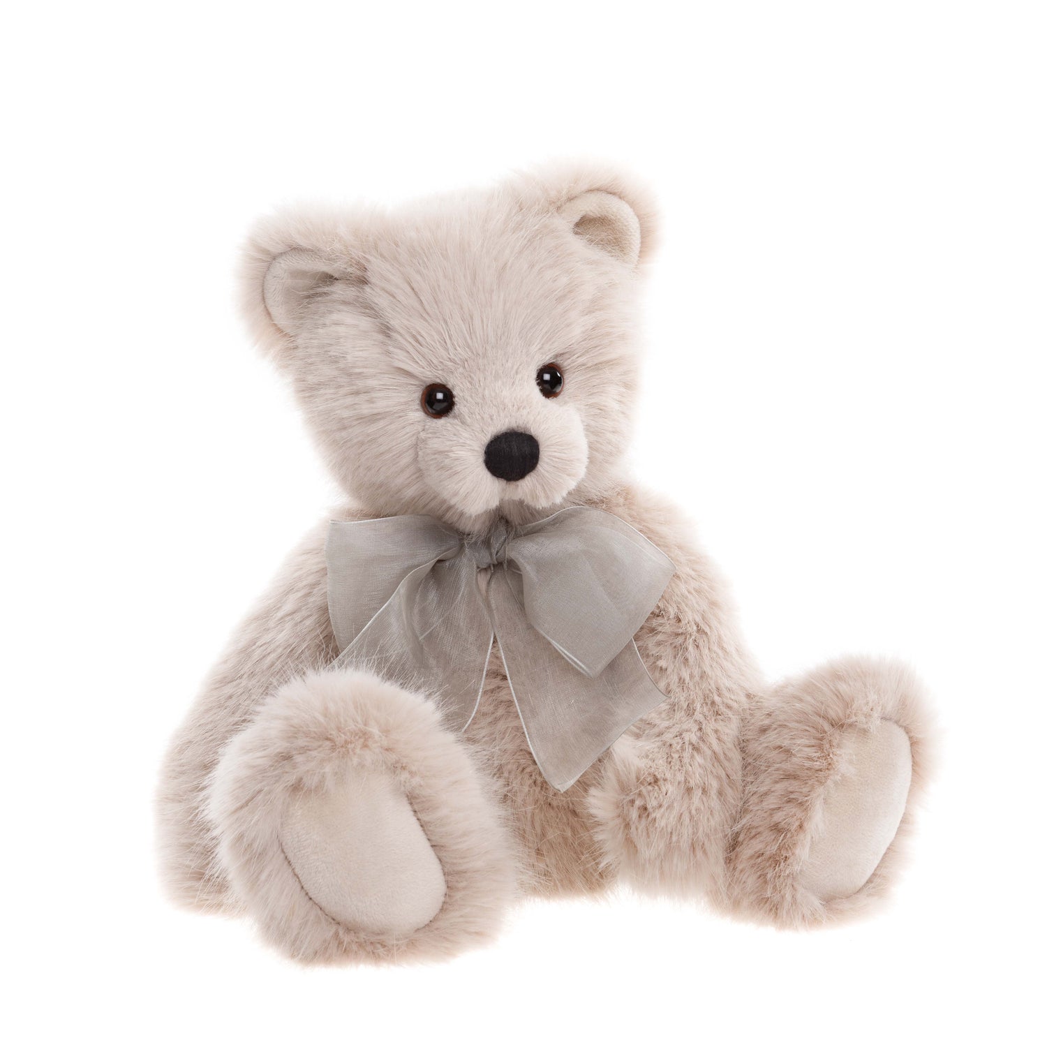 Lapin gris