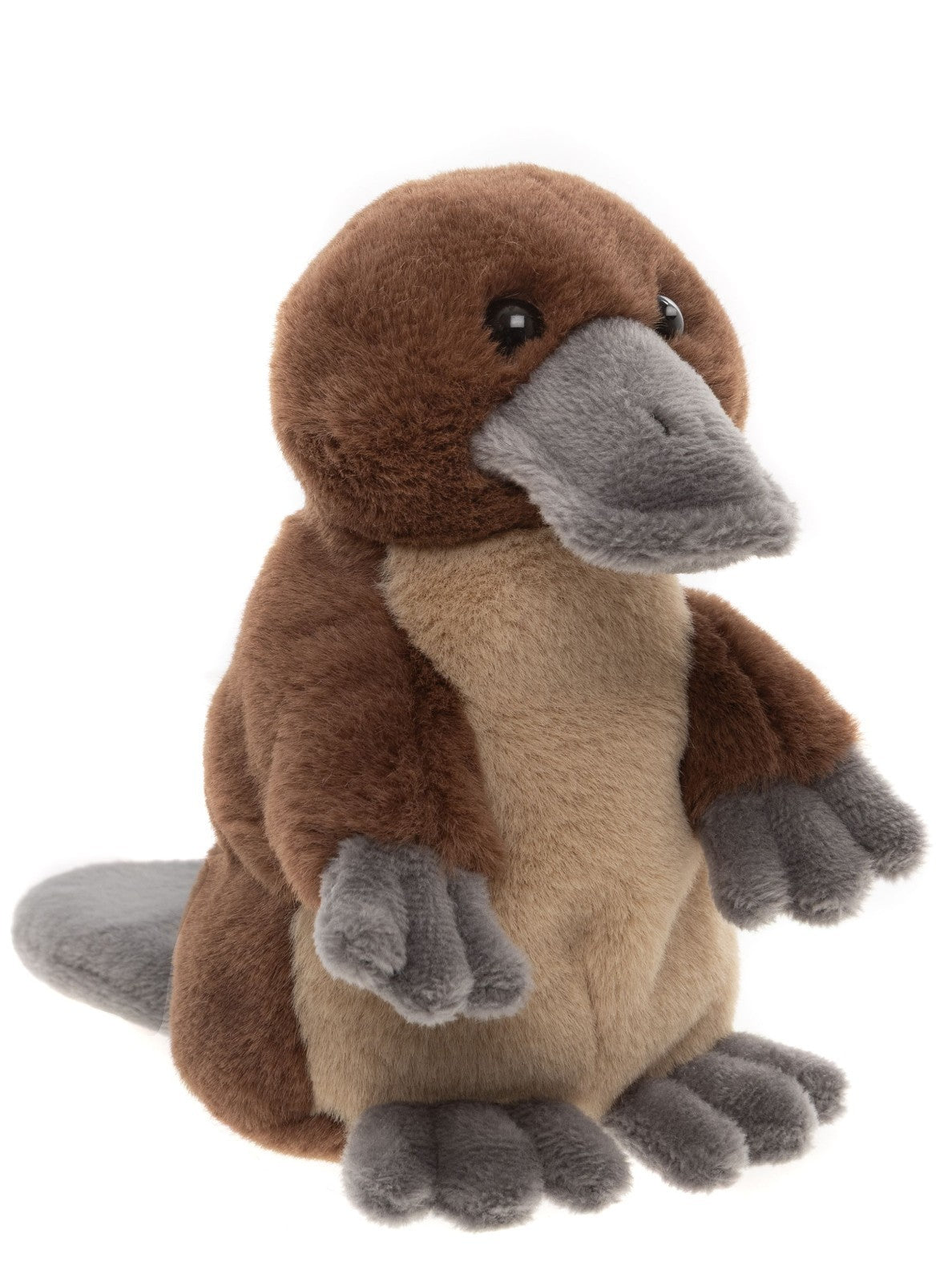 Lapin gris