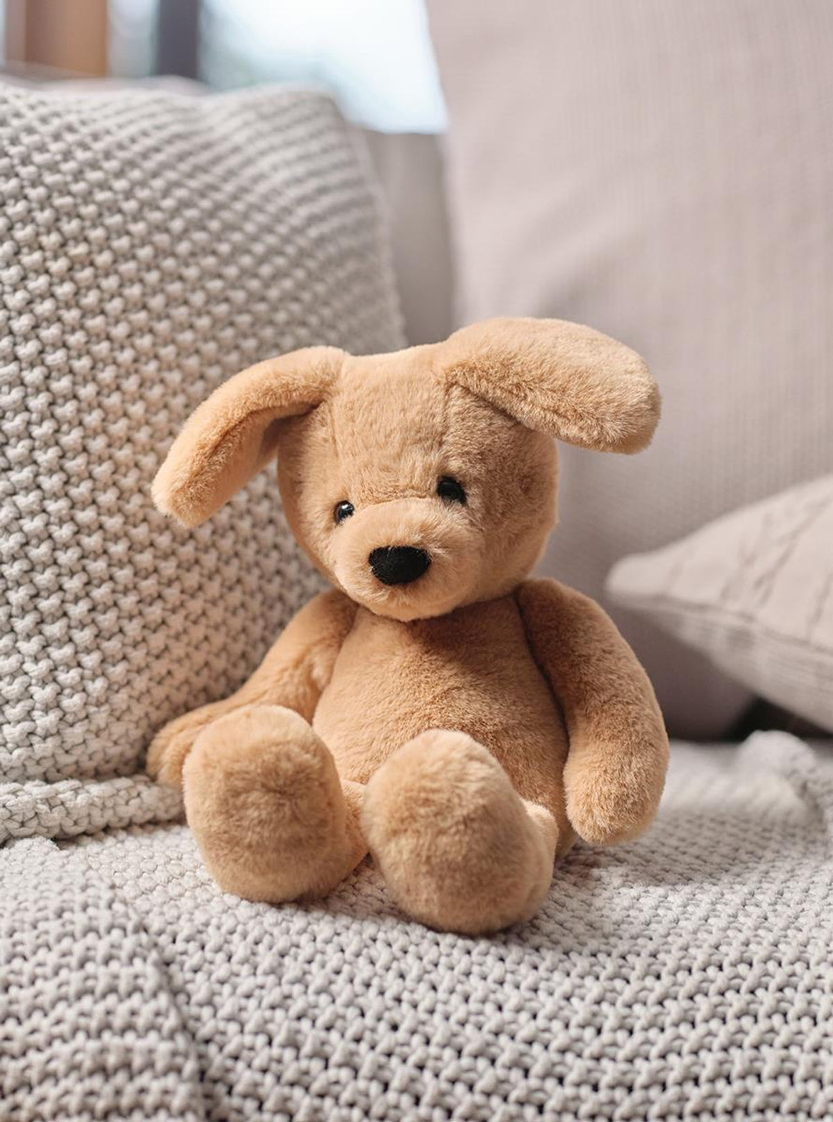 Ruff Ruff Puppy Ruff Puppy – PM Flowers